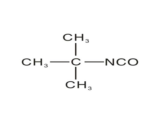 叔丁基異氰酸酯